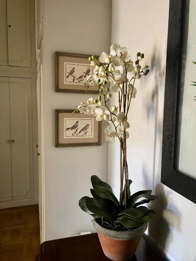 Magnifique 2 Pieces De 65M2 -Quartier Des Musiciens Apartment Nisa Exterior foto